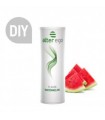 Άρωμα Alter Ego WATERMELON 10ml (καρπούζι)