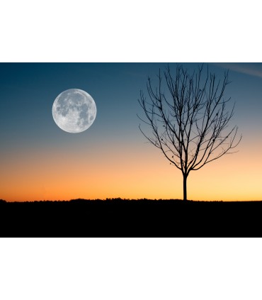 Αναπτήρας ZIPPO ΑΕΚ ΑΕ272